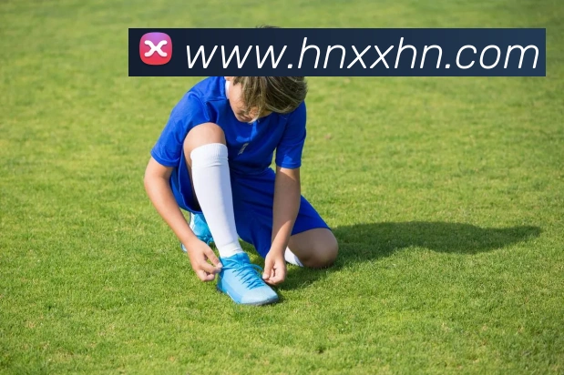 九州体育平台生态图